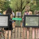 Hampstead Heath Ladies 'Pond não proibirá mulheres trans após a regra de sexo biológico da Suprema Corte (foto de arquivo)