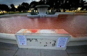 A demonstração do Dia de Anzac em Auckland resulta em uma fonte de tingimento vermelho. Os habitantes locais foram às mídias sociais para debater se foi desrespeitoso realizar o protesto na sexta -feira