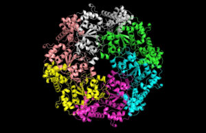 A ferramenta de avanço da AI da Microsoft simplifica o estudo de proteínas A ferramenta de avanço da AI da Microsoft simplifica o estudo de proteínas