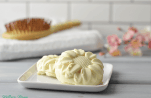 Barra de condicionador natural DIY para cabelos DIY conditioner bar