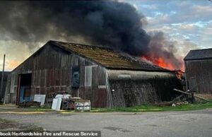 Em um incêndio horrível, uma empresa peculiar de design de interiores que fornecia móveis para a mansão da Cornualha do rei Charles foi destruída. Petrie suspeita que a causa do incêndio, que começou logo após as 18h, foi