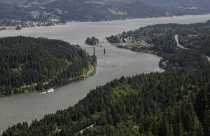 Enfurecido pela descoberta de uma criatura chinesa capaz de escalar paredes altas de 13 pés em um ponto de beleza do noroeste do Noroeste do Pacífico A descoberta alarmante foi feita em 22 de abril, quando um pescador comercial pegou um caranguejo chinês no rio Lower Columbia (foto), ao sul da fronteira do estado de Washington