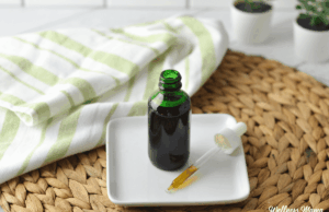 Extrato caseiro de estévia Extrato caseiro de estévia