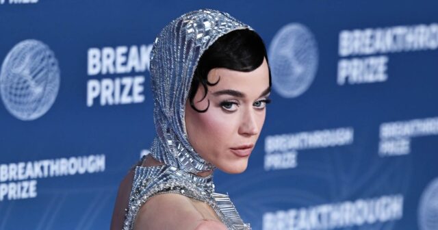 Katy Perry afirma que os críticos on -line querem torná -lo uma "piñata humana" após sua turnê e vôo espacial



