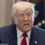 Os Estados Unidos e a Ucrânia assinaram um acordo por muito tempo por Donald Trump (foto) sobre o acesso aos recursos naturais da Ucrânia, a Casa Branca confirmada para DailyMail.com na terça -feira à noite