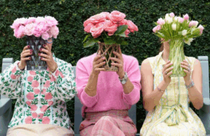 O que comprar para mamãe? O que comprar para mamãe?