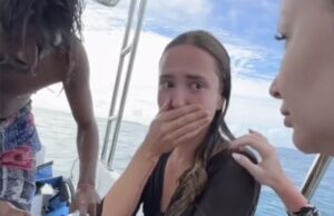 Os cientistas ficam chocados por terem que avisar as pessoas para não pegar tubarões de 18 pés. Os influenciadores são os culpados por um recente aumento de ataques de tubarão, de acordo com cientistas que dizem que