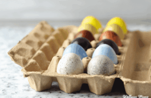 Tingimento natural de ovo de Páscoa natural egg dye