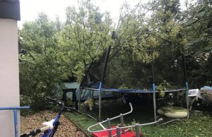 Um pai enfrenta uma conta judicial de PS Foi somente quando a árvore caiu - esmagando a piscina recém -concluída da família, trampolim e casa de verão - que o conselho 'prometeu cortá -lo'