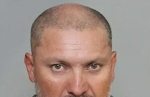 Uma máfia selvagem passa a casa de um assassino em série, esmagando janelas e pulverizando pimenta nos moradores. Eles então percebem seu erro. Alejandro Oliveros Acosta, 45, foi preso na semana passada por supostamente matar gatos do bairro