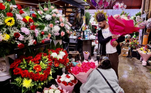 6 fatos surpreendentes sobre os dias da mãe

