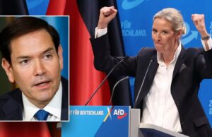 A Agência de Inteligência classifica uma alternativa popular do país para a Alemanha como “extremista” A Agência de Inteligência classifica uma alternativa popular do país para a Alemanha como "extremista"