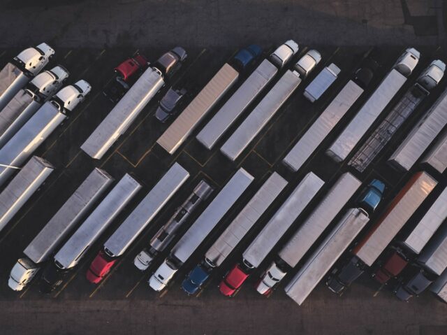 A BET AI da Uber Freight, Robotaxi Adverting de Tesla pisca de pássaro gato verde