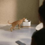 A Fountain Smart Fancy Petlibro Dockstream Smart for Cats é de US $ 17 na Amazon