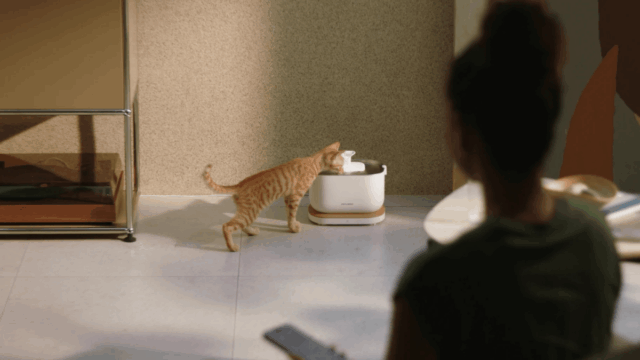 A Fountain Smart Fancy Petlibro Dockstream Smart for Cats é de US $ 17 na Amazon


