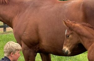 A corrida das corridas de corrida deixada quebrada pela trágica morte de um filho de 10 anos de uma das maiores famílias do esporte A família Schick anunciou que seu filho Jimmy, aos 10 anos (na foto), morreu tragicamente após o incidente no veículo off -road