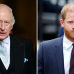 O príncipe Harry diz que o rei Charles não vai falar comigo
