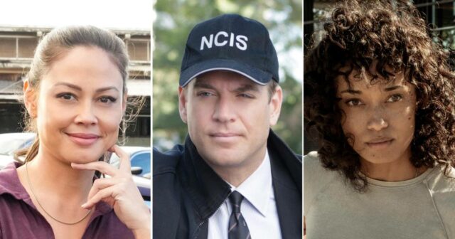 Quantos programas do NCIS há um guia completo para cada spin -off da Marinha ao longo do 903