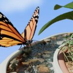A câmera de natureza inteligente da PETAL na CES 2025