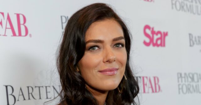 Adrianne Curry Matthew Rhode Relação Linha do tempo