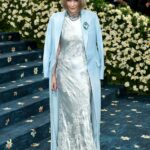 Os fãs expressaram suas preocupações com a equipe de estilo Anna Wintour quando notaram uma mancha vermelha na segunda -feira em 2025 Met Gala.