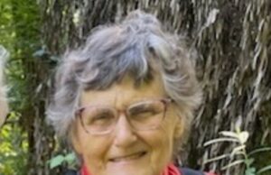 As colinas da Península são uma área de busca para idosos. Os pesquisadores usarão câmeras para ajudá -las a encontrar a pessoa. As colinas da Península são uma área de busca para idosos. Os pesquisadores usarão câmeras para ajudá -las a encontrar a pessoa.