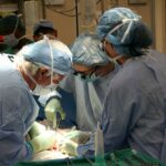 transplantação