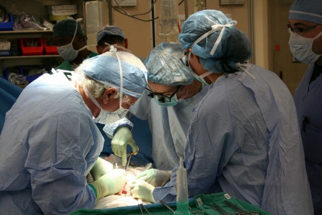 transplantação