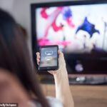 Quase duas dúzias de deficiências de segurança na tecnologia Apple Airplay deixam seu iPhone vulnerável a ataques de hackers, alertaram especialistas