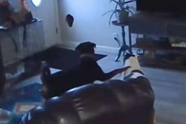 Baffi da mulher para encontrar um enorme buraco na parede, Peterra Cams revela tudo

