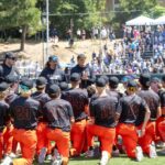 Baseball do CCS, playoff de softball: resulta na primeira rodada em todas as divisões