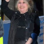 A estrela de cinema francesa Brigitte Bardot defendeu os atores que