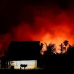 Um bombeiro é silhueta contra chamas que se enrolam entre folhagem escura nesta foto são tiradas ao anoitecer.