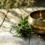 Cannabis + Tarot: O misticismo pode ritual para obter uma visão elevada