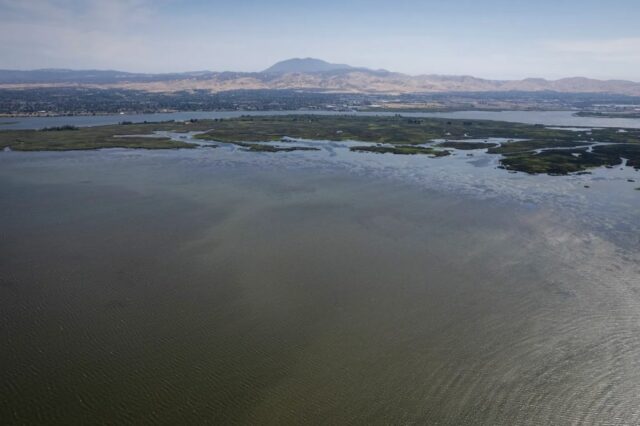 Cartas: os túneis delta nunca devem ser construídos

