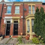 Do lado de fora, uma casa de terraço em Newcastle em Tyne parece encantadora e atraente e quando você olha para o lounge e cozinha, a atração ainda está lá