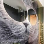 Gato cinza oito pés ocupa todo o espaço no banheiro - os olhos têm dois espelhos redondos enormes
