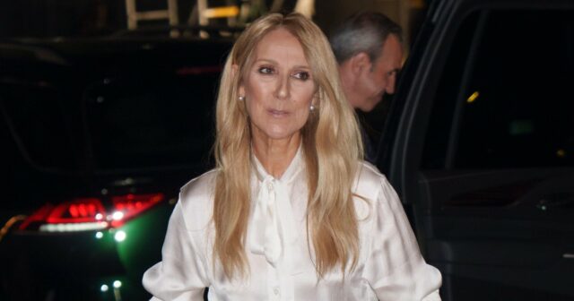 GetTyImages-2214341474-Celine-dion-arre-Poblic-Apacacer