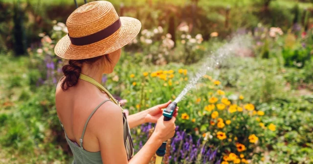 Com que frequência é muito tempo para regar o jardim? Muitas vezes e curto ou raro e longo? (Especialistas)

