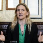 A Sra. Leadbeater pode ser honesta, mas ela é inexperiente e completamente não qualificada para gerenciar a lei de importantes importações através do Parlamento