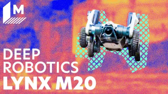 Conheça o Robothond que está, corre e rola em ambientes extremos

