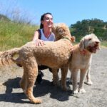 Lesões cutâneas de um cão com coccidioidomicose, também conhecido como febre do vale. (Foto cedida por VFCE)