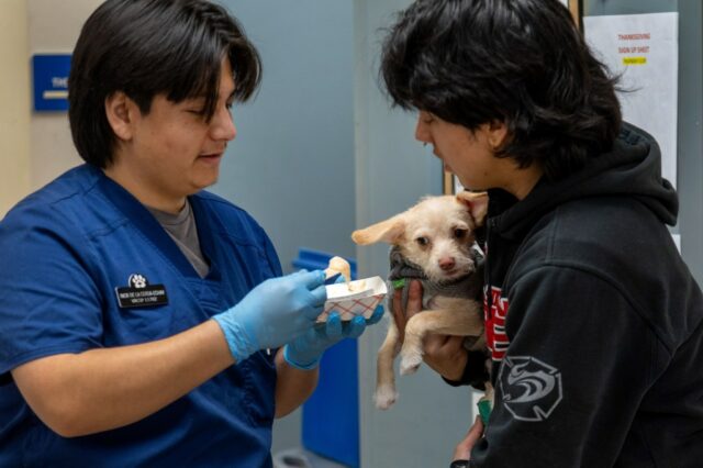 Defensores dos animais



