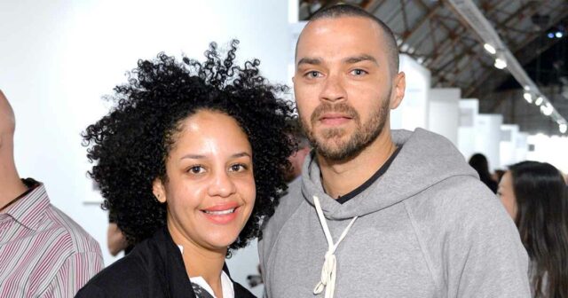 Divórcio e Custódia Batalha Linha do tempo de Jesse Williams e Aryn Drake Lee



