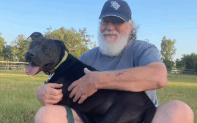 Dog considerado "unnd optável" após 5 anos no abrigo não é reconhecido hoje

