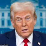 O presidente Donald Trump jogou fora seu conselheiro de segurança nacional Mike Waltza porque estava planejando com o líder de Israel para atacar o Irã, ele disse na noite passada