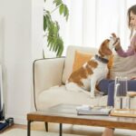 Dyson, mova -se. A combinação a vácuo é a solução perfeita para você.
