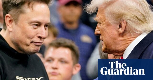 Especialista menciona o 'envolvimento' do Doge 'de Musk uma das maiores destruições da marca "

