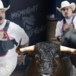 É um cavalo e touro mexicanos