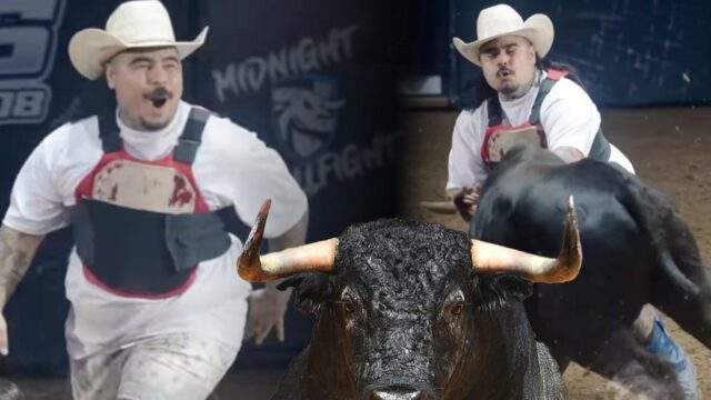 É um cavalo e touro mexicanos